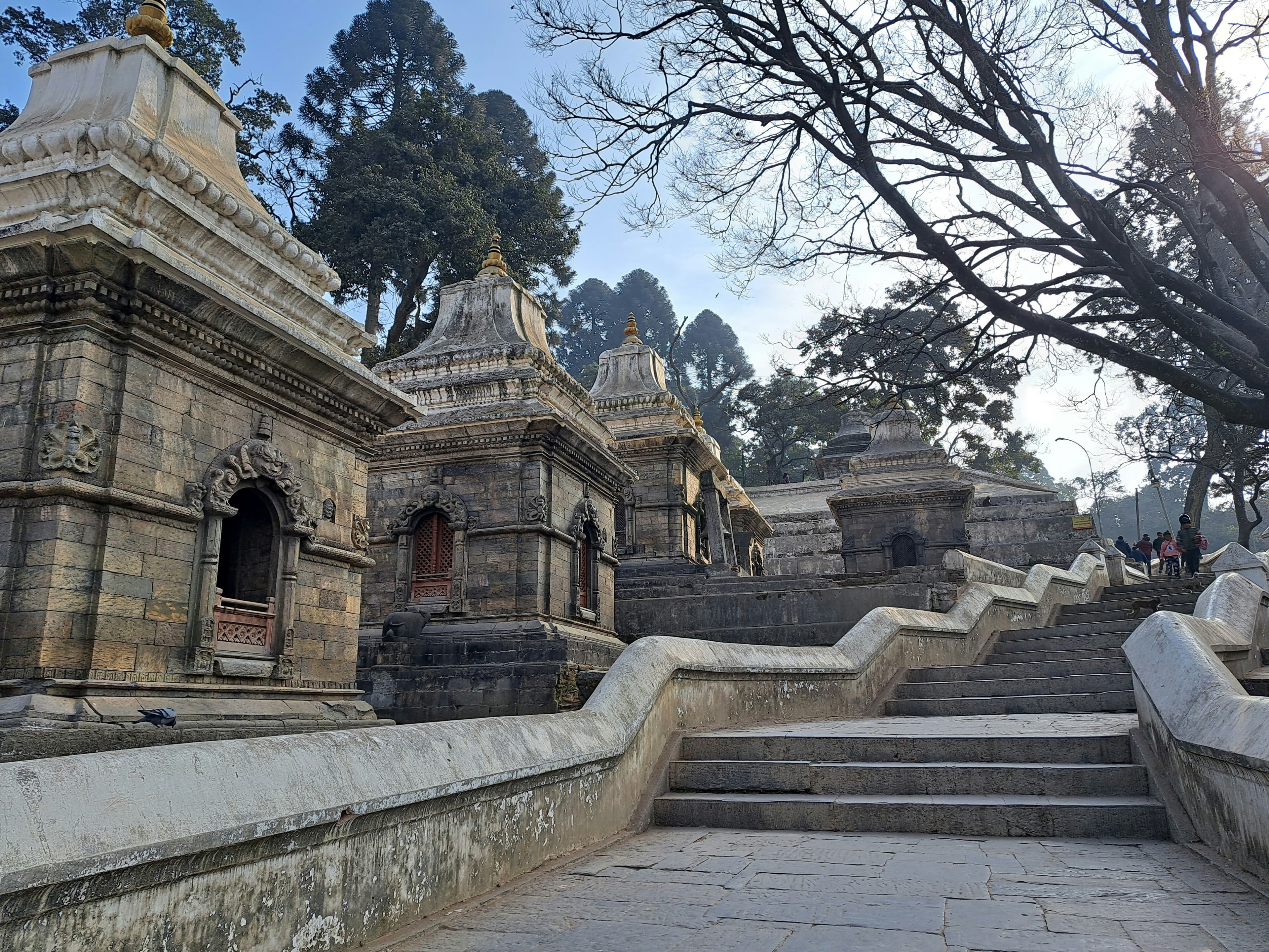 Stone carvings and temple details at Pashupatinath